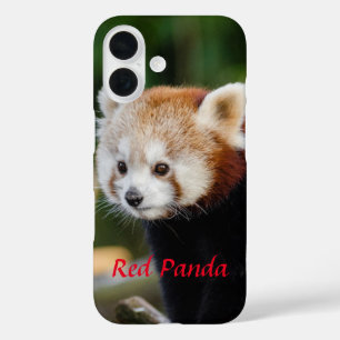 Coque Pour iPhone 16 Image de Panda roux sur un rondin enneigé