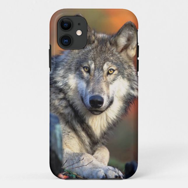 Coques Case-Mate iPhone Image de photographie de loup (Dos)