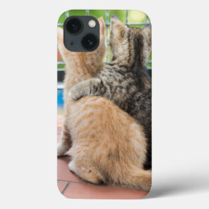 iPhone 13 Case Images Getty Deux chatons sur un balcon