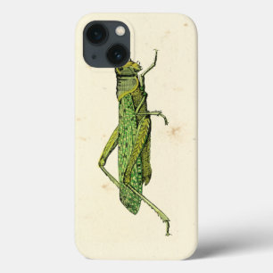 Etui iPhone 13 Impression encadrée de sauterelles vertes
