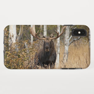 Case-Mate iPhone Case Impressionnant orignal