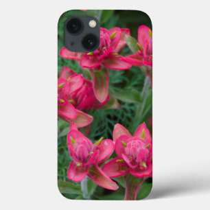 Case-Mate iPhone Case Indian Paintbrush