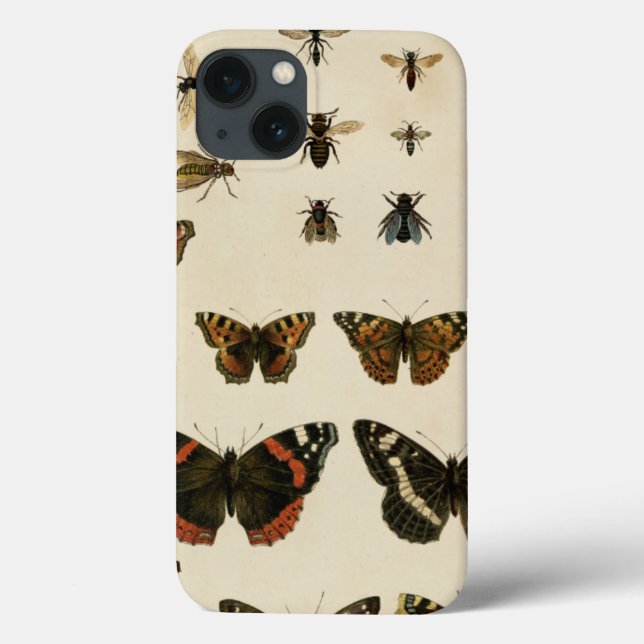 Coques Case-Mate iPhone Insectes de jardin par le studio de vision (Verso)