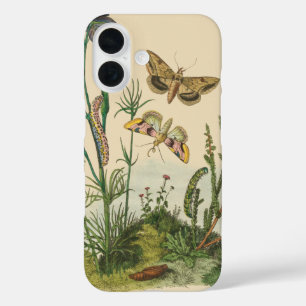 Coques iPhone 16 Insectes vintages, Papillons, Caterpillar