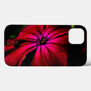 Case-Mate iPhone Case Iphcna de fleurs sauvages pourpres