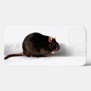 Case-Mate iPhone Case Iphcna rat