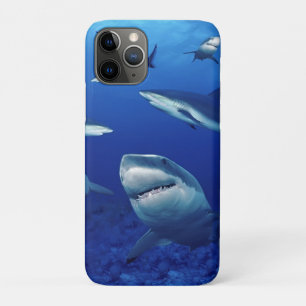iPhone 11Pro - Requins Coques