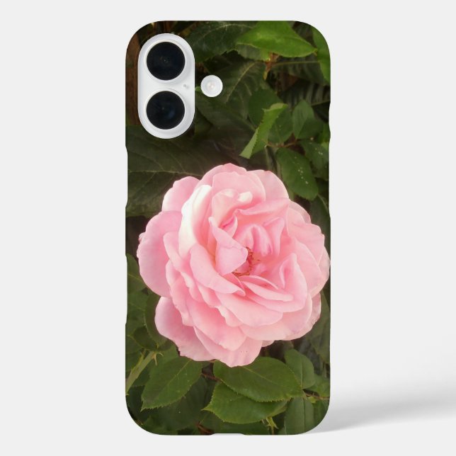 Coques Case-Mate iPhone iPhone 16 case (Verso)