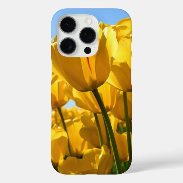 COQUES Case-Mate iPhone IPHONE 16 PRO (Verso)