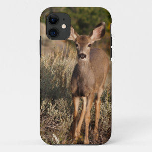 Coque Case-Mate Pour iPhone iPhone 5 connu
