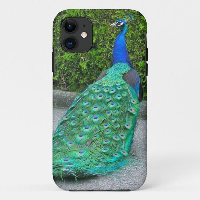 Coques Case-Mate iPhone iPhone 5 Coque, "Proud Peacock" (Dos)
