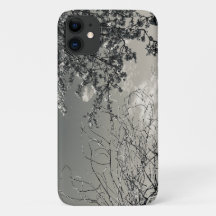 iPhone cover with sky and spring branches