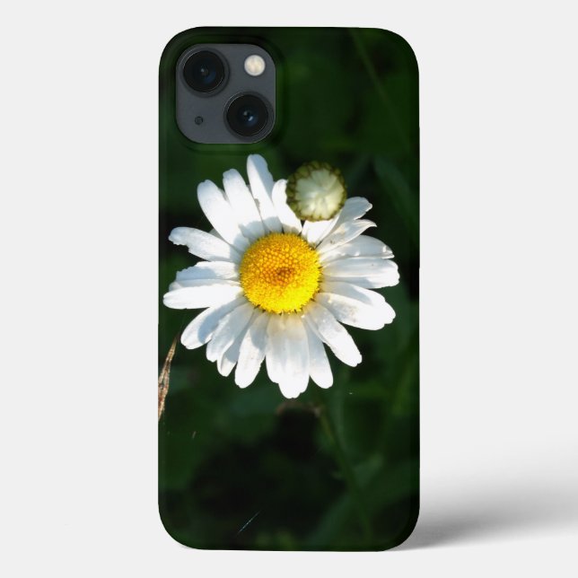 Coques Case-Mate iPhone iPhone Daisy 6/6, Tough Xtreme (Verso)