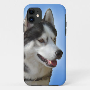 Case-Mate iPhone Case iPhone enroué 5 cas de Malamute de chien de