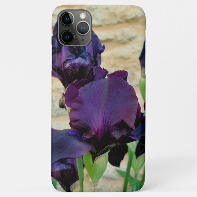 Coques Case-Mate iPhone Iris à poils (Dos)