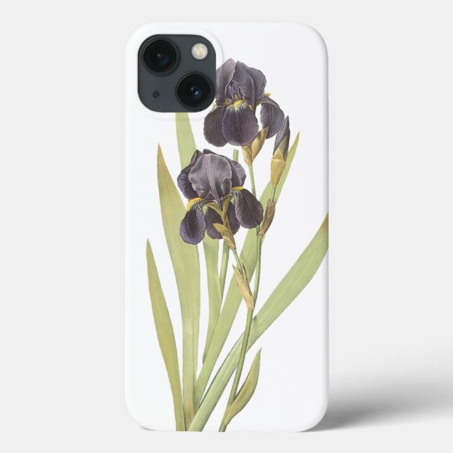 Coques Case-Mate iPhone Iris flowers (Verso)