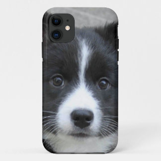 Coques Pour iPhone Irish Sheepdog 2014-0804
