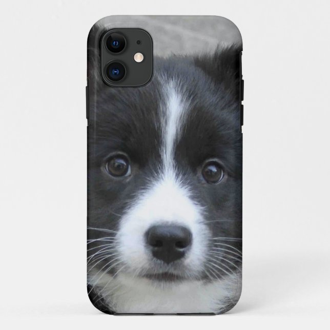 Coques Case-Mate iPhone Irish Sheepdog 2014-0804 (Dos)