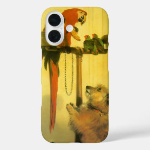 Coque Pour iPhone 16 Islay, Tilco, un Macaw et des Inséparables de Land