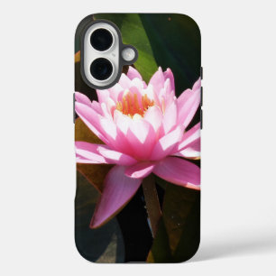 Coque Pour iPhone 16 Jardin d'eau rose rose Nénuphar éclairé
