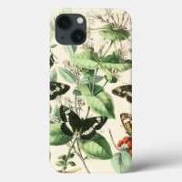 Jardin des papillons et des fleurs