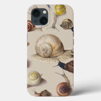 Jardin d'escargots Animaux de compagnie Gastropod