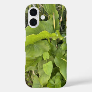 Coque Pour iPhone 16 Jardin Jardin Closeup Nature extérieure Photo