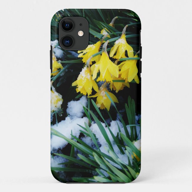 Coques Case-Mate iPhone Jaune Daffodils fleurs dans la neige (Dos)