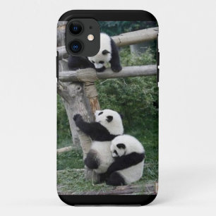 Etui iPhone Case-Mate Jeu du cas des pandas iPhone5/5s