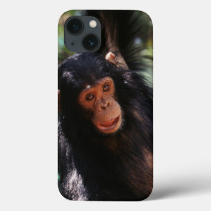 iPhone 13 Case Jeune chimpanzé
