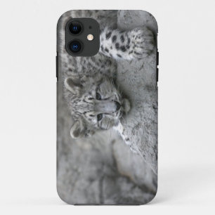 Case-Mate iPhone Case Jeune léopard des neiges de 4 mois drapé sur un ro