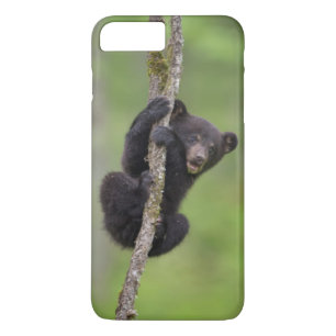Case-Mate iPhone Case Jeune ours noir jouant, Tennessee