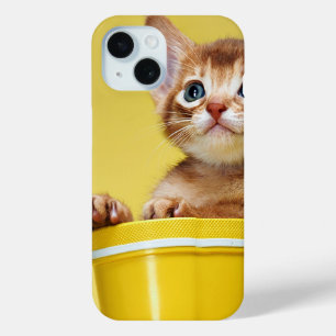 Coque Pour iPhone 15 Joli chaton dans un seau jaune