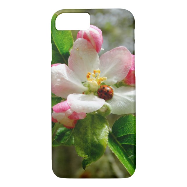 Coques Case-Mate iPhone joli coccinelle sur fleurs de fleur de pomme blanc (Dos)