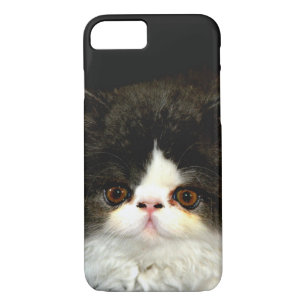 Coque iPhone 7 Joli noir blanc chaton photo