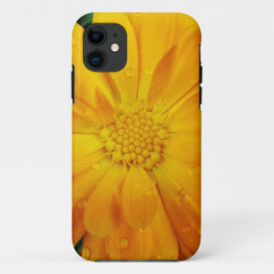 Case-Mate iPhone Case jolie fleur de marguerite jaune frais