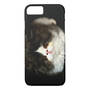 Etui iPhone Case-Mate jolie photo noir blanc chaton chat ragdoll