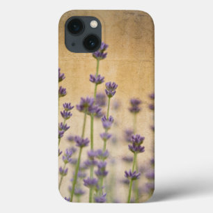 iPhone 13 Case Jolies fleurs de lavande