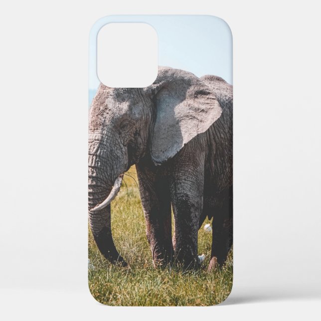 COQUES Case-Mate iPhone JOLIMENT ÉLÉPHANT (Verso)