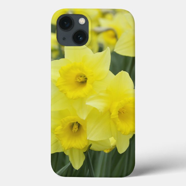 Coques Case-Mate iPhone Jonquilles RF) (Verso)