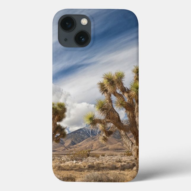 Coques Case-Mate iPhone Joshua Trees dans le désert (Verso)