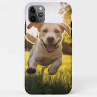 Joyeux Labrador Puppy Running