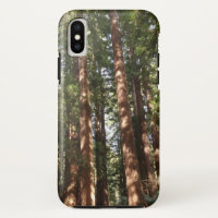 Jusqu'aux séquoias II à Muir Woods National Monume