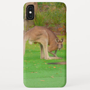 Coque Case-Mate Pour iPhone kangourou