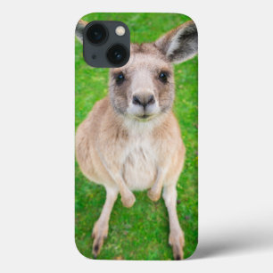 iPhone 13 Coque Kangourou de bébé des images de Getty