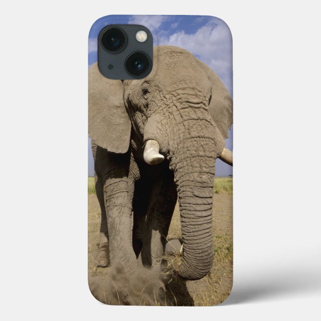 Coques Case-Mate iPhone Kenya : Parc national d'Amboseli, éléphant mâle (Verso)