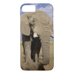 Case-Mate iPhone Case Kenya : Parc national d'Amboseli, éléphant mâle
