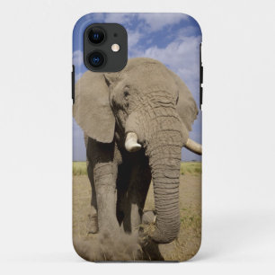 Etui iPhone Case-Mate Kenya : Parc national d'Amboseli, éléphant mâle