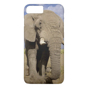 Coque Case-Mate Pour iPhone Kenya : Parc national d'Amboseli, éléphant mâle