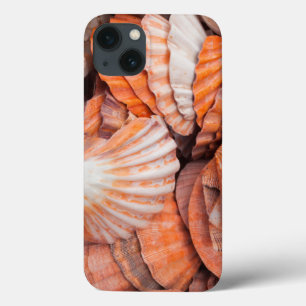 Coques Pour iPhone Keys de Floride, Key West, seashells